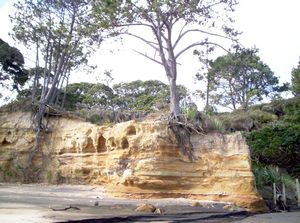 Image of aiawhitu07cbcliffs.jpg