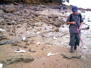 Image of aiawhitu07fkdeadfish.jpg