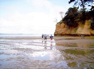 Image of aiawhitu07fqheadland.jpg