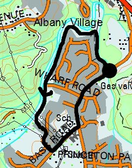 Image of albanymap07.jpg