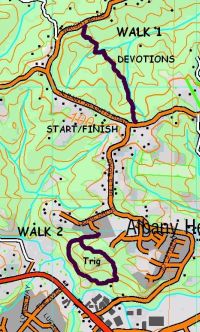 Image of albanymapp09.jpg