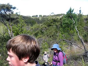 Image of albanyoct09betrack.jpg