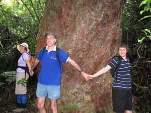 Image of albanyoct09bmcuddletree.jpg