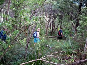 Image of albanyoct09cbheavywork.jpg