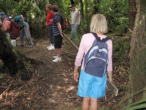 Image of albanyoct09cdheavywork.jpg