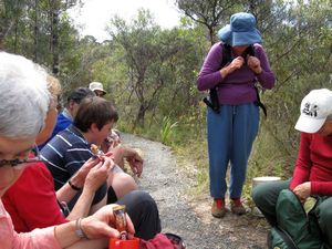 Image of albanyoct09cfbreak.jpg