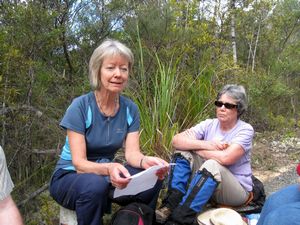 Image of albanyoct09cgfeedthebirds.jpg