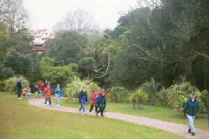 Image of alberonq.jpg