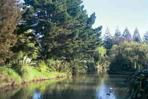 Image of alisonparkpondq.jpg