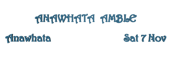 Image of anawhataamblenov15.gif