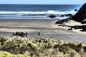 Image of anawhatanov15b.jpg