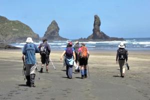 Image of anawhatanov15c.jpg