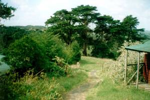 Image of arapohue0222backofcamp.jpg