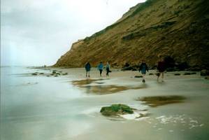 Image of arapohue022beach.jpg