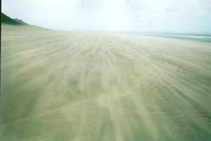 Image of arapohue022beachwind.jpg