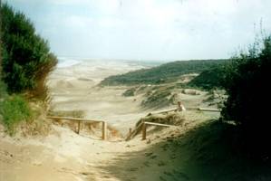 Image of arapohue022lighthouseviewwest.jpg