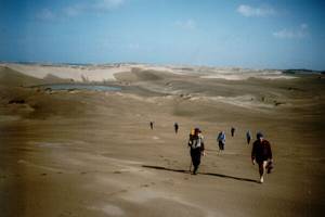 Image of arapohue02baredunes2.jpg