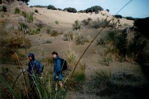 Image of arapohue02dune2.jpg