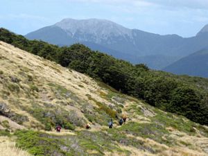 Image of asylvesterzj.jpg