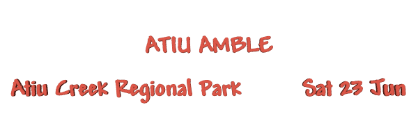 Image of atiuamble18.gif