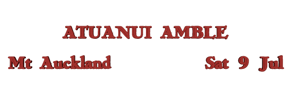 Image of atuanuiamble16.gif