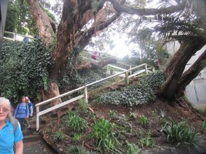 Image of aucklandshorelinejun23l.jpg