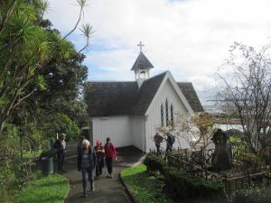 Image of aucklandshorelinejun23o.jpg