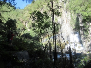 Image of awakeriapr21a.jpg