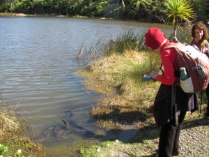 Image of awhitusep19n.jpg