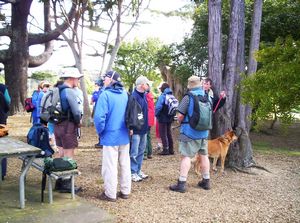 Image of balbanysep07aastart.jpg