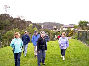 Image of balbanysep07catrack.jpg