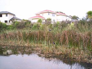 Image of balbanysep07dbpond.jpg