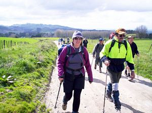 Image of bcrotoruasep07beprivatepoggy.jpg