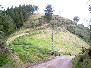 Image of bcrotoruasep07bmneartop.jpg