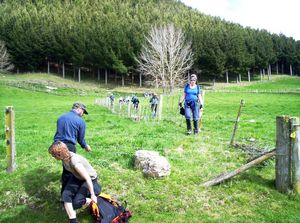 Image of bcrotoruasep07dbfarm.jpg