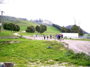 Image of bcrotoruasep07ddcowshed.jpg