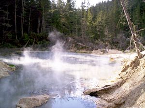 Image of bcrotoruasep07eangatamarikihotsprings.jpg