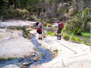 Image of bcrotoruasep07ehstream.jpg