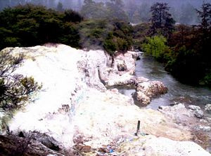 Image of bcrotoruasep07jdrailwayart.jpg