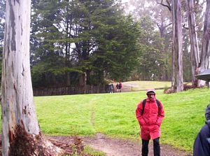 Image of bcrotoruasep07jhtrack.jpg