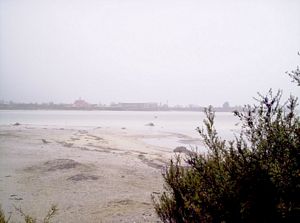 Image of bcrotoruasep07kgcoast.jpg