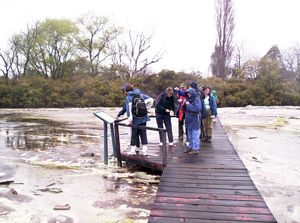 Image of bcrotoruasep07klflats.jpg