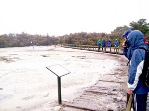 Image of bcrotoruasep07lctrack.jpg