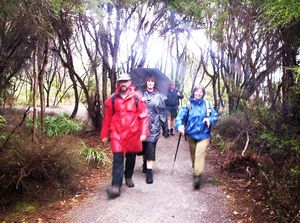 Image of bcrotoruasep07lktrack.jpg