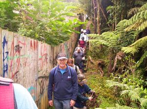 Image of beachhavenapr07barangatirareserve.jpg