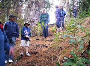 Image of beachhavenapr07bdtrack.jpg