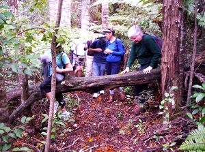 Image of beachhavenapr07daroughtrack.jpg