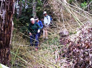 Image of beachhavenapr07ddroughtrack.jpg