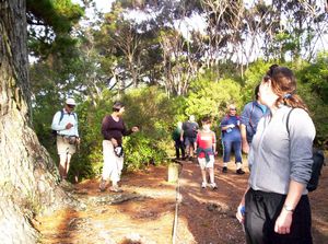 Image of beachhavenapr07fctrack.jpg