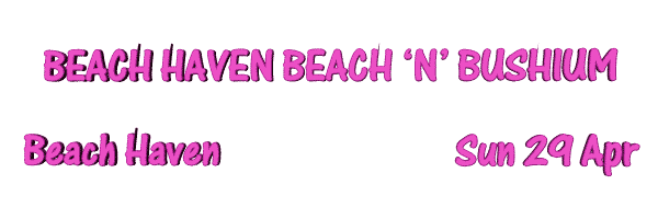 Image of beachhavenbushium07.gif